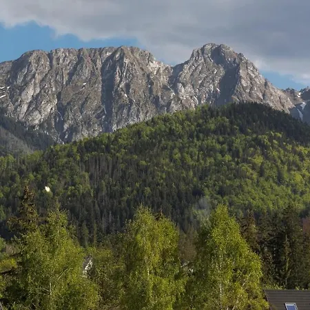 Landscape House Zakopane F By Rent Like Kościelisko