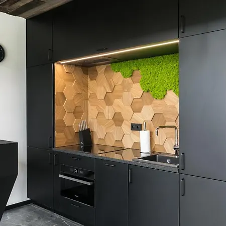 Landscape House Zakopane F By Rent Like Prázdninový dům *